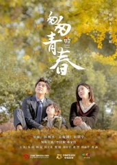 匆匆的青春 匆匆的青春