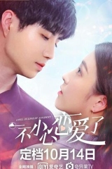 一不小心恋爱了 一不小心恋爱了