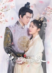 神探驸马请接嫁 神探驸马请接嫁