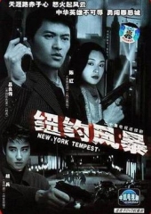 纽约风暴 纽约风暴