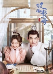 双面赘婿第2季 双面赘婿第2季