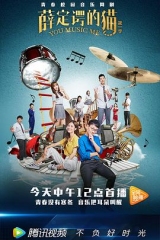 薛定谔的猫 薛定谔的猫