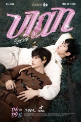 喵不可言 喵不可言