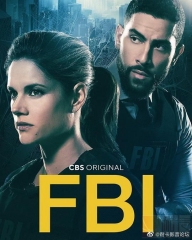 联邦调查局第五季 联邦调查局第五季