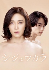 40岁开始 40岁开始