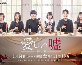 可爱的谎言~温柔的黑暗~ 可爱的谎言~温柔的黑暗~