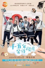 十五年等待候鸟 十五年等待候鸟