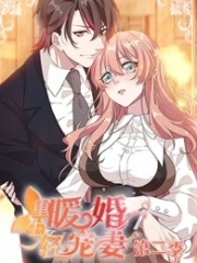 重生暖婚轻宠妻第二季 重生暖婚轻宠妻第二季