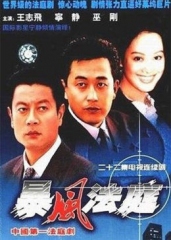 暴风法庭 暴风法庭