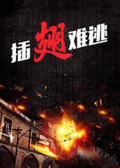 插翅难逃张治中版 插翅难逃张治中版