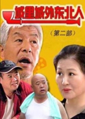 城里城外东北人2 城里城外东北人2