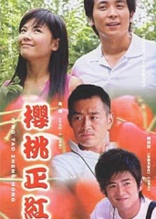 樱桃正红 樱桃正红