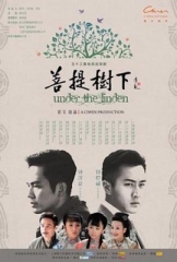 菩提树下 菩提树下