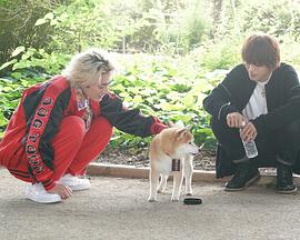 难破MG5特别篇 难破MG5特别篇