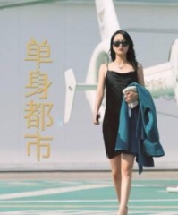 单身都市 单身都市