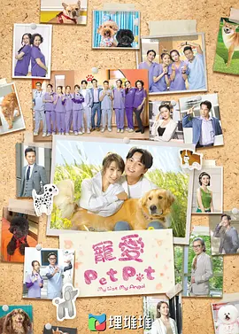 宠爱PetPet国 宠爱PetPet国