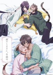 森林里的熊先生冬眠中 森林里的熊先生冬眠中