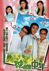 花样中年国语 花样中年国语