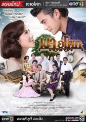 无忧花开2016 无忧花开2016