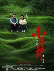 小草青青 小草青青