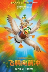 飞鸭向前冲 飞鸭向前冲