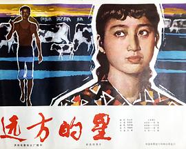 远方的星 远方的星