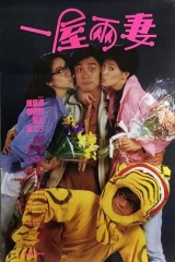 一屋两妻粤语 一屋两妻粤语