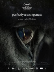 完全陌生2024 完全陌生2024