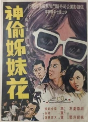 神偷姊妹花粤语 神偷姊妹花粤语