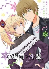 笨拙之极的前辈。 笨拙之极的前辈。