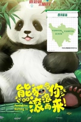 熊猫与你,滚滚而来! 熊猫与你,滚滚而来!