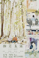 树冠羞避 树冠羞避