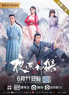 夜凛神探第一季 夜凛神探第一季