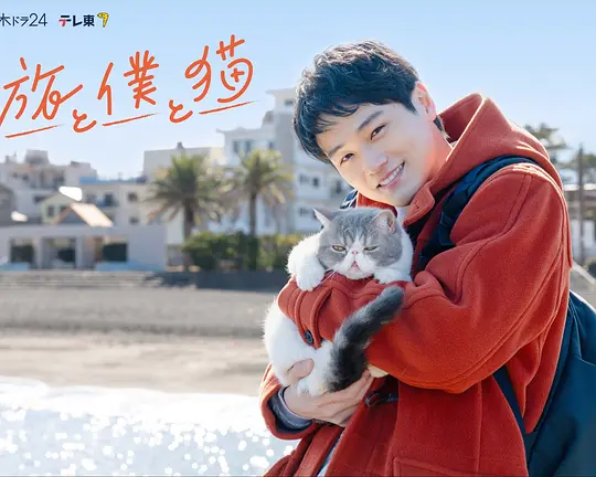 旅行和我和猫 旅行和我和猫